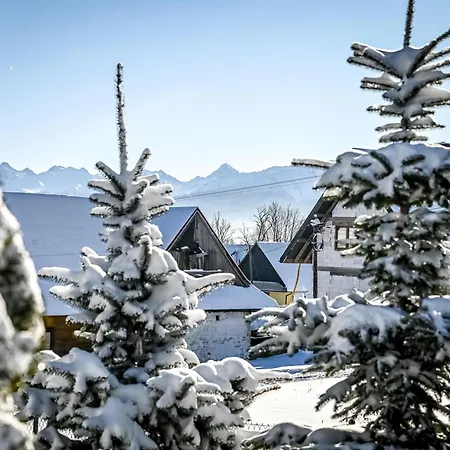 U Zosi Domek alpejski Zakopane