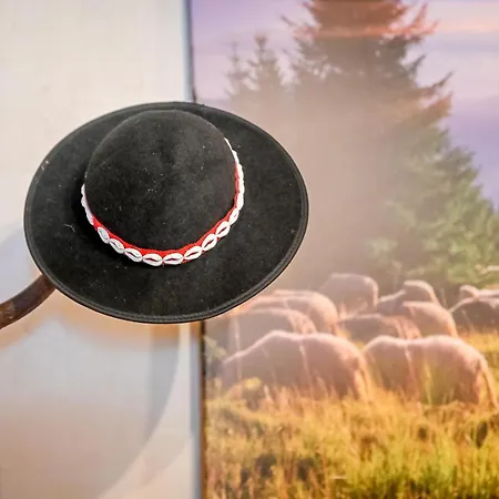 U Zosi Domek alpejski