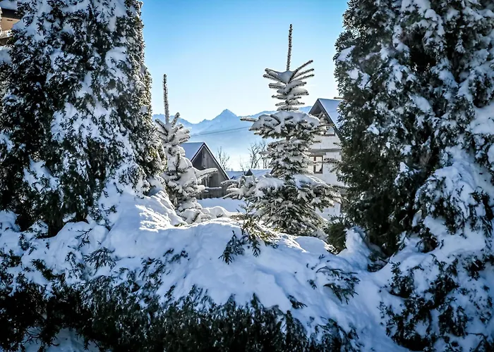 U Zosi Domek alpejski
