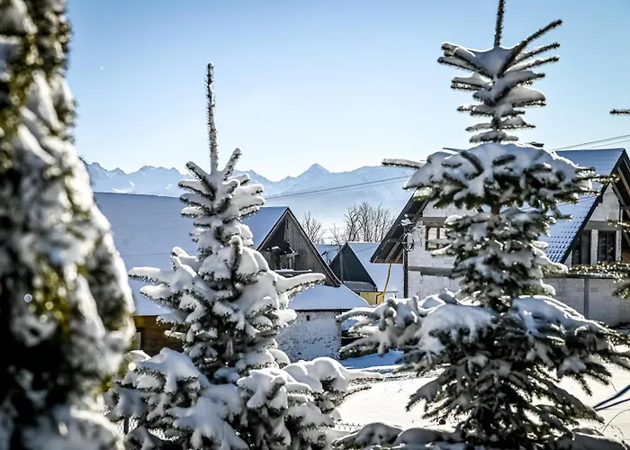 U Zosi Dağ evi Zakopane